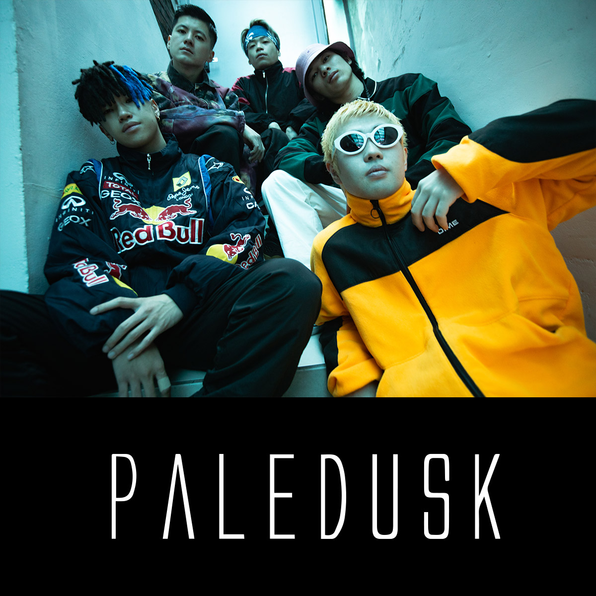 Paledusk